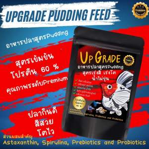 อาหารปลาบอลลูนสูตรพุดดิ้งโปรตีนสูงถึง60%เร่งสีเร่งโตใช้แล้วน้ำไม่ขุ่น UPGRADE Pudding Feed