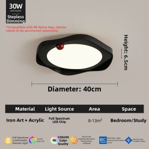 FANZHEN | Minimalist Modern Luxe Black Eye Protection Ceiling Light