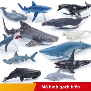 Mô Phỏng Sinh Vật Biển Biển Nhân Vật Hành Động-Cá Mập Cá Voi Cá Heo Đầu Búa Đại Dương Mô Hình Động Vật Đồ Chơi Giáo Dục Cho Mọi Lứa Tuổi