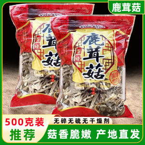 Specialty Dry Reishi Mushrooms 500g New Stock Ningde Fujian No Sulphur Soup Making Edible Fungi Dry Deer Velvet Mushroom