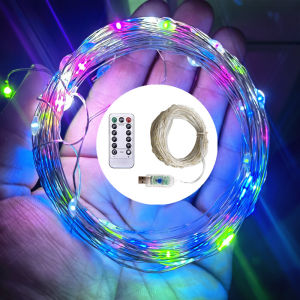 2/5/10/20M Fairy Light String USB Copper/Silver Wire Light String with Remote Control Suitable for Indoor Christmas Decoration