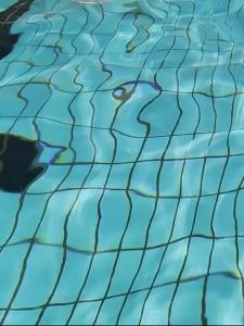 PATGEAR | Anti-Drowning Swim Float