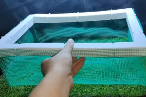 Lồng Cá Cảnh Đẻ có Phao nổi loại lớn