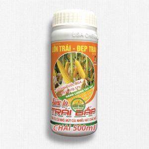 PHÂN BÓN LÁ SIÊU TO TRÁI BẮP - TRÁI TO CÙI NHỎ MÚT CÙI NHIỀU HẠT CHẮC Tăng Cường Hạt Chắc Và Đầy Củng Cố Rễ Ăn Sâu - Lazada