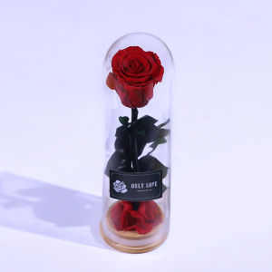 Qixi Preserved Fresh Flower Dried Flower Gift Classy Glass Cover Gift Rose Valentines Day Gift for Girlfriend Real Flower Little Prince