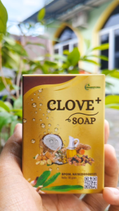 Sabun Gatal Selangkangan Paling Ampuh Clove Plus Soap BPOM 90gr