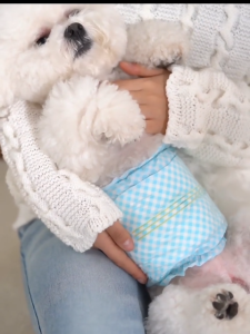 (NEST) DONO PET Economical Disposable Diapers / Pee pad / Pet Usage / Pet Diapers / SG