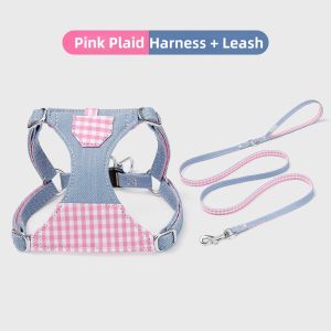 petlimit | Small Dog Leash & Harness