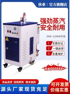 Energy Saving Electric Heating Steam Generator Commercial Small Automatic Boiler for Brewing And Cooking in Kitchen