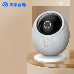 HarmonyOS Connect | Remote Surveillance Panoramic HD Night Vision AI Camera