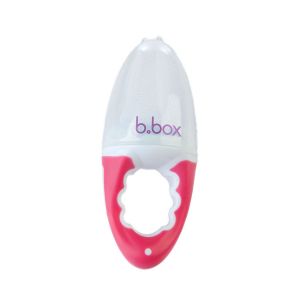 bbox Fresh Food Feeder - Fun and Safe Way for Babies to Explore New Tastes and Soothe Teething Pain - Suitable for 4+ Months