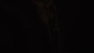 #พร้อมส่ง Exp4/12/27 #Sulwhasoo Timetreasure Honorstige Cream 1 ml (ขั้นต่ำ 10ซอง/คละแบบได้)