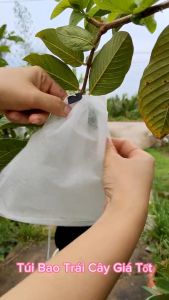 100 cái 18x20cm TÚI VẢI TỐT GIÚP BỌC TRÁI ỔI VÚ SỮA... - VẬT TƯ NÔNG NGHIỆP