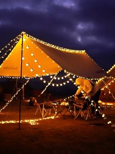 【BUY 1 TAKE 1】 Solar Snow Bulb Outdoor Waterproof LED Christmas Decoration Hanging Light String Atmosphere Light