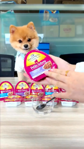 Wellness Complete Health Petite Entrées - Small Breed Grain Free Dog Wet Food 3oz (85g) | 10 Tasty Flavours