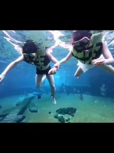 Diving  Snorkeling Three Pieces Equipment Full Dry Breathing Tube Device Suit  and Children Swimming  Myopia Anti-Fog