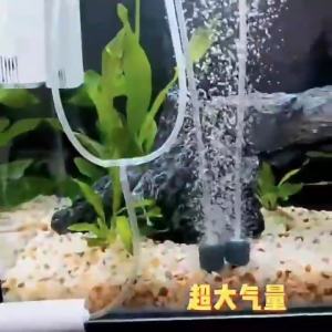 BELI 3 PASTI DAPAT POTONGAN 7K🔥 - Aerator Aquarium Fish Tank Oxygenator USB 1 W | Aerator / gelembung aquarium / oksigen ikan / oksigen akuarium / mesin oksigen ikan / mesin oksigen akuarium / gelembung ikan / gelembung udara untuk ikan