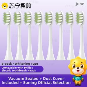 Philips Electric Toothbrush Head HX2446/244B Compatible June Initials Helen Yeo Collaborative Replacement Head Deep Cleaning Adult Normal Specification