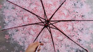 Cherry Blossom Umbrella Transparent cherry blossom printing dome Princess wind manually folding