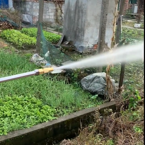 Y2E2noa Agriculture Brass Missile Nozzle Straight Jet +Mist Spray Adjustable Nozzle Electric Sprayer High Pressure Spraying
