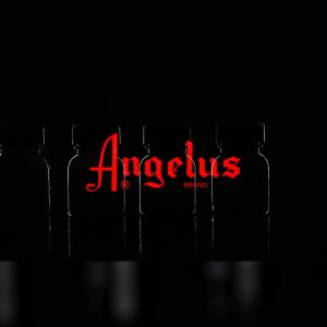 Angelus direct หมวดแม่สี สีพื้นฐาน สีpaintผ้าและหนัง USA