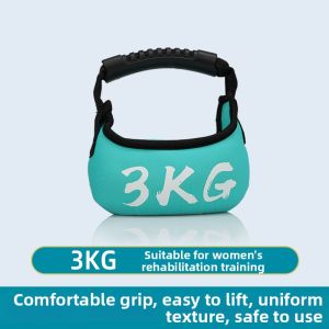 Theratools | Rehabilitation Training Handheld Dumbbell Sandbag 3kg