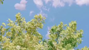 2025 New High-speed Turbo Handheld Fan UsbPortable Rechargeable Student Desktop Small Electric Fan