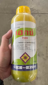 ***ขายยกลัง*** เฮกซ์ ขนาด 1 ลิตร ยกลัง 12 ขวด เพนดิเมทาลิน เพนดิ คุมหญ้าใบแคบและใบกว้าง ปลอดภัยต่อพืชประธาน เช่น นาแห้ง อ้อย ผักชี ข้าวโพด