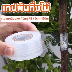 Allieuka120m เทปพันกิ่งไม้ เทปพันกิ่งทาบ แลปพลาสติก อุปกรณ์ตอนกิ่ง เทปพันกิ่งเสียบยอด ผ้าเทปพันกิ่ง