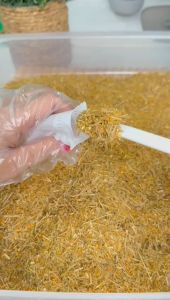 Paket Hemat Rimpang Celup Ramuan Bidadari 2box + Rimpang Booster 2 box resep JSR 100% Rempah murni