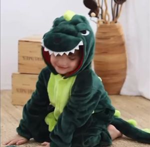 ชุดไดโนเสาร์ ชุดมาสคอต ชุดคอสตูมฮาโลวีน กรุงเทพ สีเขียว แดง ชมพู