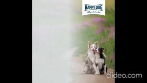 HAPPY DOG NaturCroq Lamb & Rice Dog Food 15kg Dog Kibbles Dog Dry Food Makanan Anjing 狗粮 狗饼