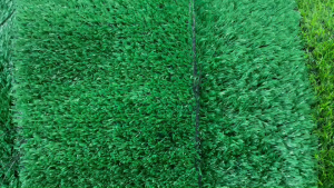 (ยกม้วน) หญ้าเทียม 1cm /1.5cm /2cm  ใช้จัดงานอีเว้นท์ หรือตกแต่งสวนในร่มรีสอร์ท ร้านอาหาร