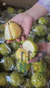 Đồ chơi mô phỏng trái cây Sầu riêng bóc tách cho trẻ