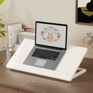 WUBUWEI | Adjustable Desktop Organizer and Laptop Stand for Electronics and Books