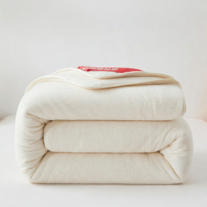 NAIYOUCHENG | Pure Cotton Thick Warm Quilt Core