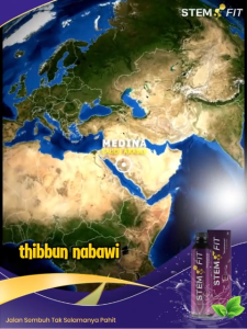 STEMFIT - OBAT HERBAL ATASI DIABETES HIPERTENSI STROKE NYERI SENDI 125 GRAM BPOM