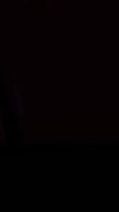 PUCELLE EAU DE LUXE PARFUM THE DAZZLER 50ml - Free Bubble Wrap