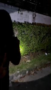 HUAFA💡ไฟฉายคาดหัว LED ไฟแรงสูง แสงขาว ลนส์ใหญ่ ชาร์จไฟบ้าน ไฟกรีดยางส่องกบ ที่ชาร์จในตัวไฟฉาย ทนทาน กันน้ำ