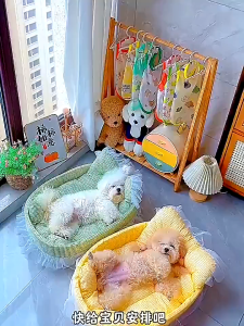 Pet Princess Bed Cats and Dogs Soft and Comfortable Detachable and Durable Bed Summer Pet Sofa Pet Supplies