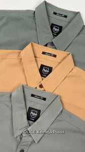 Kemeja Polos Cotton Regular Fit Pria: Kemeja Polos Berkualitas Tinggi
