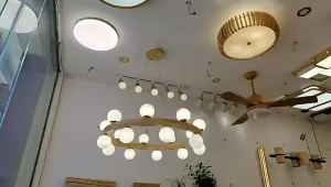 โคมไฟเพดานห้องโถงที่ทันสมัยสำหรับบ้านที่เรียบง่ายเรียบง่ายและมีสไตล์