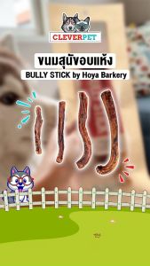 Hoya Barkery ขนมสุนัข อบแห้ง Bully Stick ขนมขัดฟัน ขนมแทะฟัน Dog Treat CleverPet