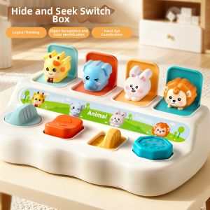 Cause & Effect Learning Toy For Infants Pop-Up Mechanism