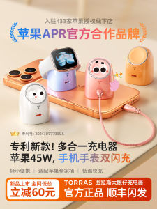 [China Plug Adapter Needed] TORRAS | Fast Charging Magnetic Charger For Apple Devices 45W