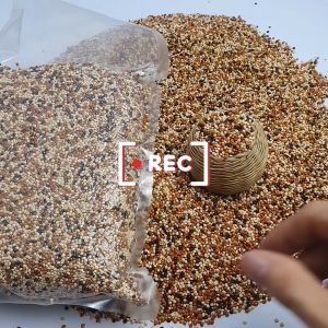 Cỏ thái 5 màu thức ăn cho chim cu gáy yến phụng