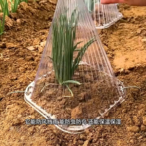 【COD】50Pcs Plastic Plant Covers Weather-Proof Plant Hats Protection Outdoor Garden Supplies Seedling Prot