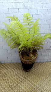 Artificial Tanaman Pakis Gantung  | Hiasan Dinding Estetik Handmade DIY | Stok Terbatas