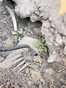 เครื่องมือกลึงดินขุดดินสำหรับสวนฟัน11ดินดินขุดดินสำหรับขุดดินแบบหลวมสำหรับมือใช้งานได้หลากหลาย