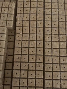 300ชิ้น บล็อกเพาะกล้า - ฟองน้ำหินสำหรับปลูก - ก้อนเพาะกล้า บล็อคเพาะกล้าไร้ดิน บล็อคหินสำหรับเพาะกล้า